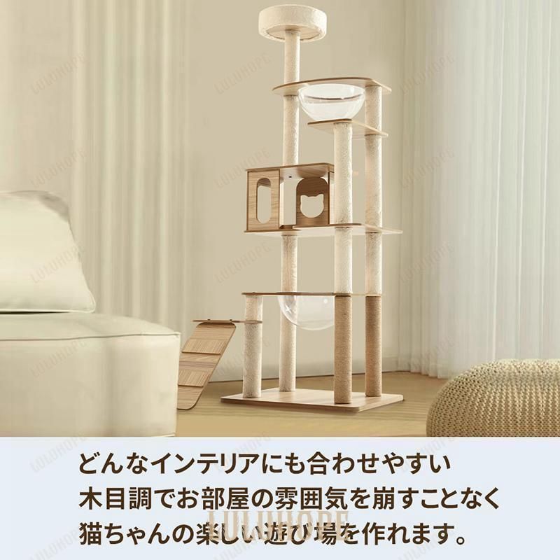 おしゃれ 大型猫