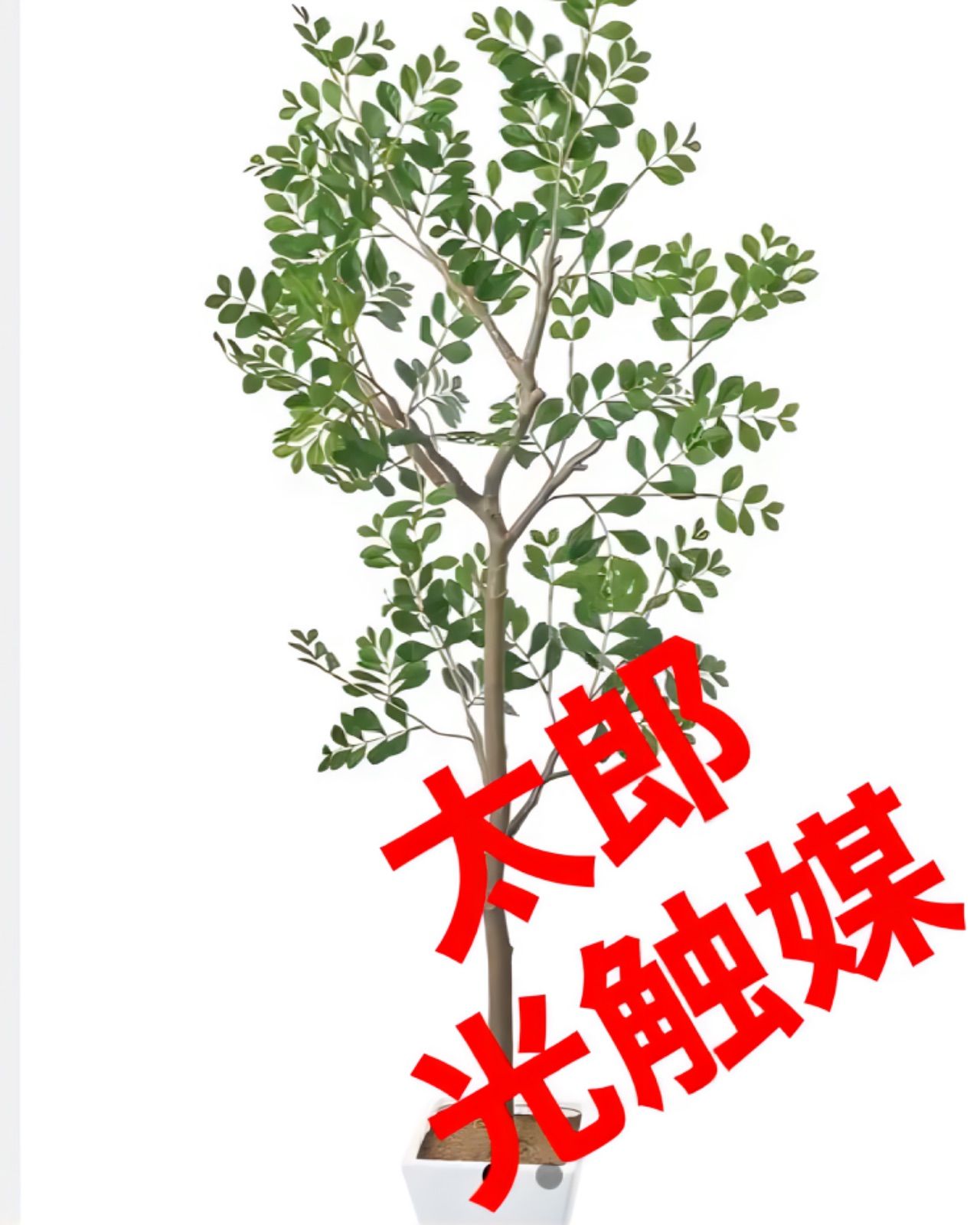 光触媒 人工観葉植物 ウォールグリーン フェイク フラワー 光触媒 人工観葉植物 ウォールグリーン フェイク フラワー