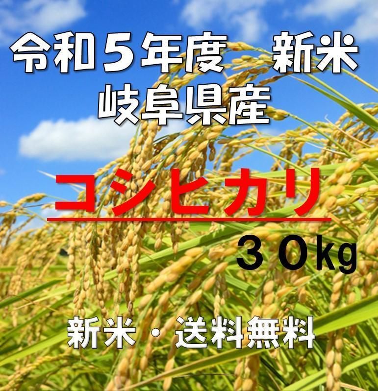 新米 令和5年度 岐阜県産 コシヒカリ 玄米(精米も可能) 30kg 送料無料