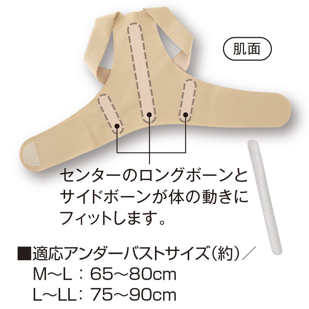 体幹 姿勢