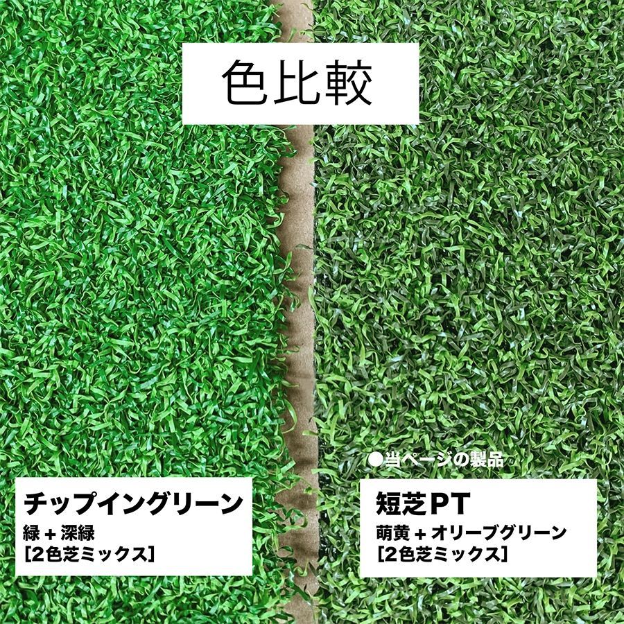 屋外】限定サイズ! 60cm×6m パット専用人工芝 ［短芝PT］屋外用パター