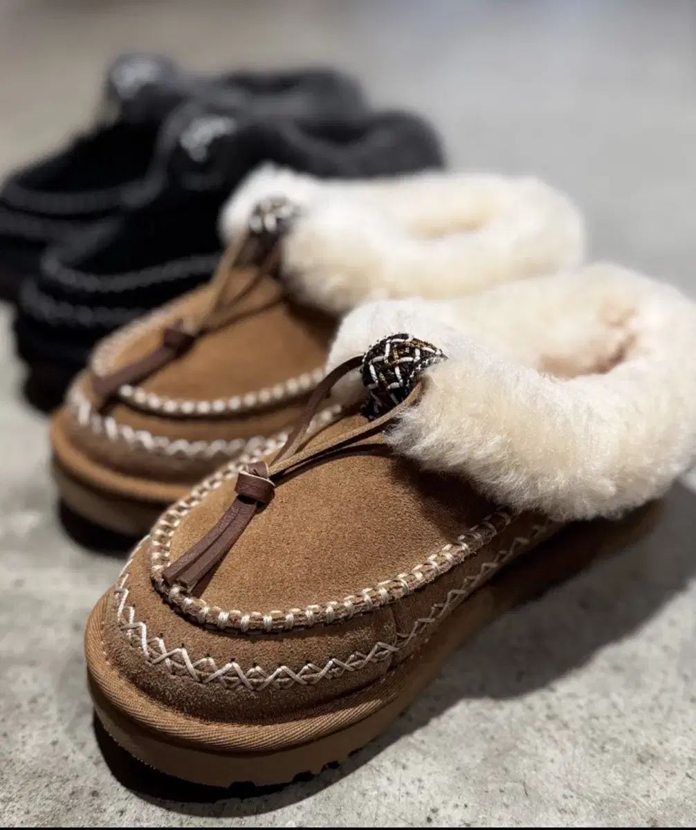250 US8 UGG アグ タスマン