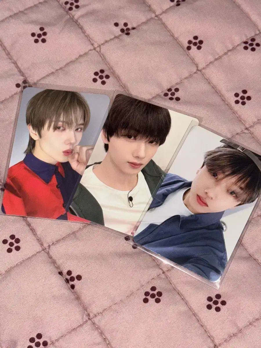 NCT DREAM jisung チソン トレカセット NCT チソン トレカ 9枚セット - メルカリ