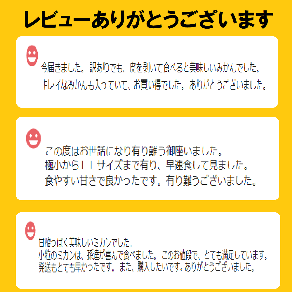 【超お買い得!】旬の柑橘 詰め合わせ 10kg補償有＜沖縄・北海道の方 専用＞-4