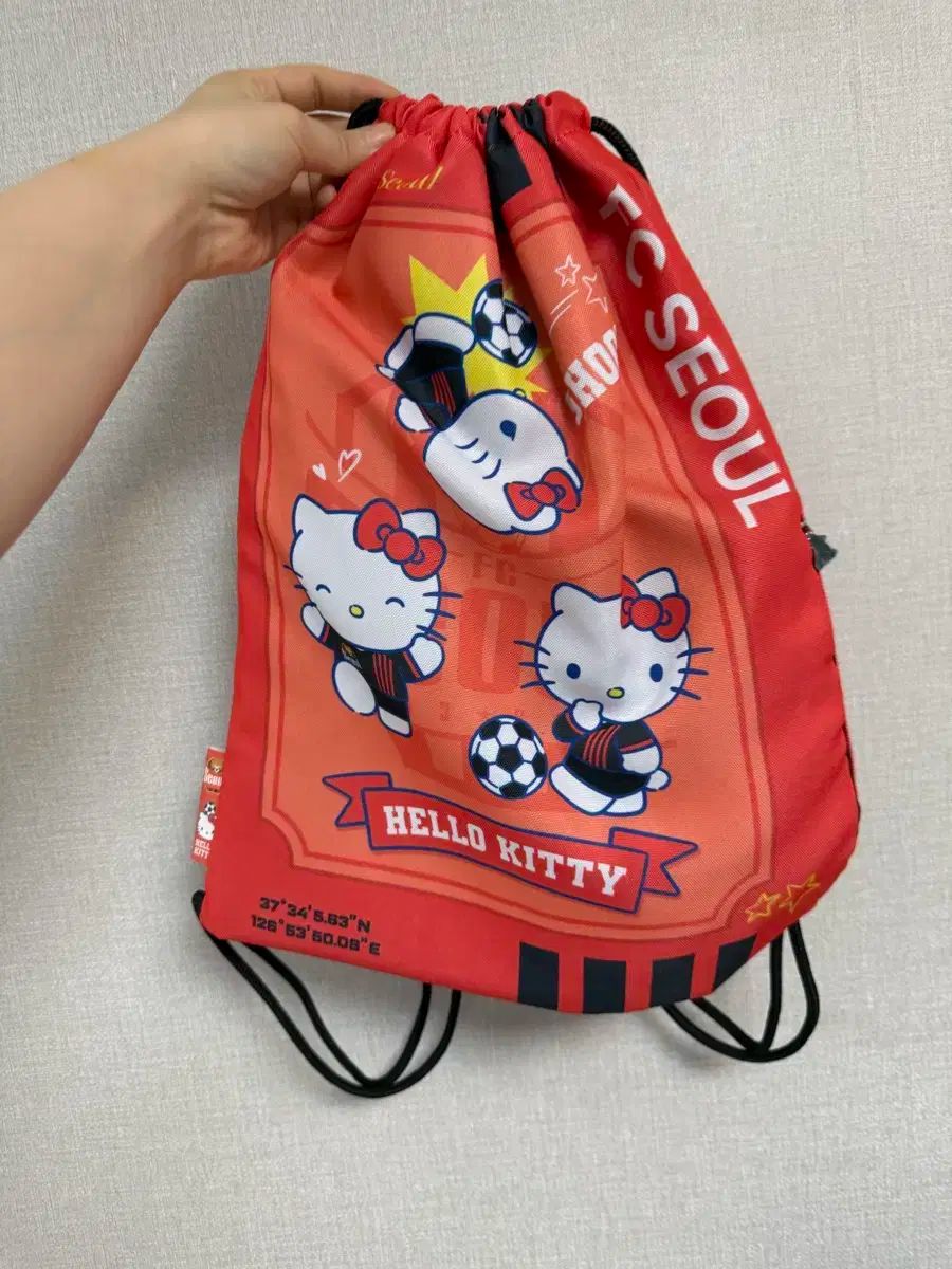 25 年 K リーグ_ジムセック_ハローキティ_ FC SEOUL ソウル