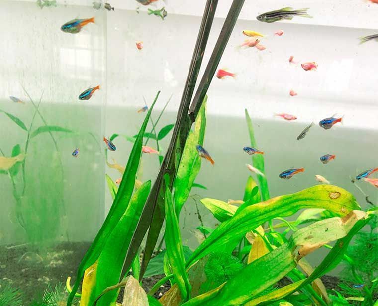 ロングピンセット カーブハサミ セット アクアリウム 水槽管理 植栽 アクリル スタンド 収納 チャーム 水草 手入れ ハーバリウム 初心者 熱帯魚 鑑賞 水族館 トリミング 多機能