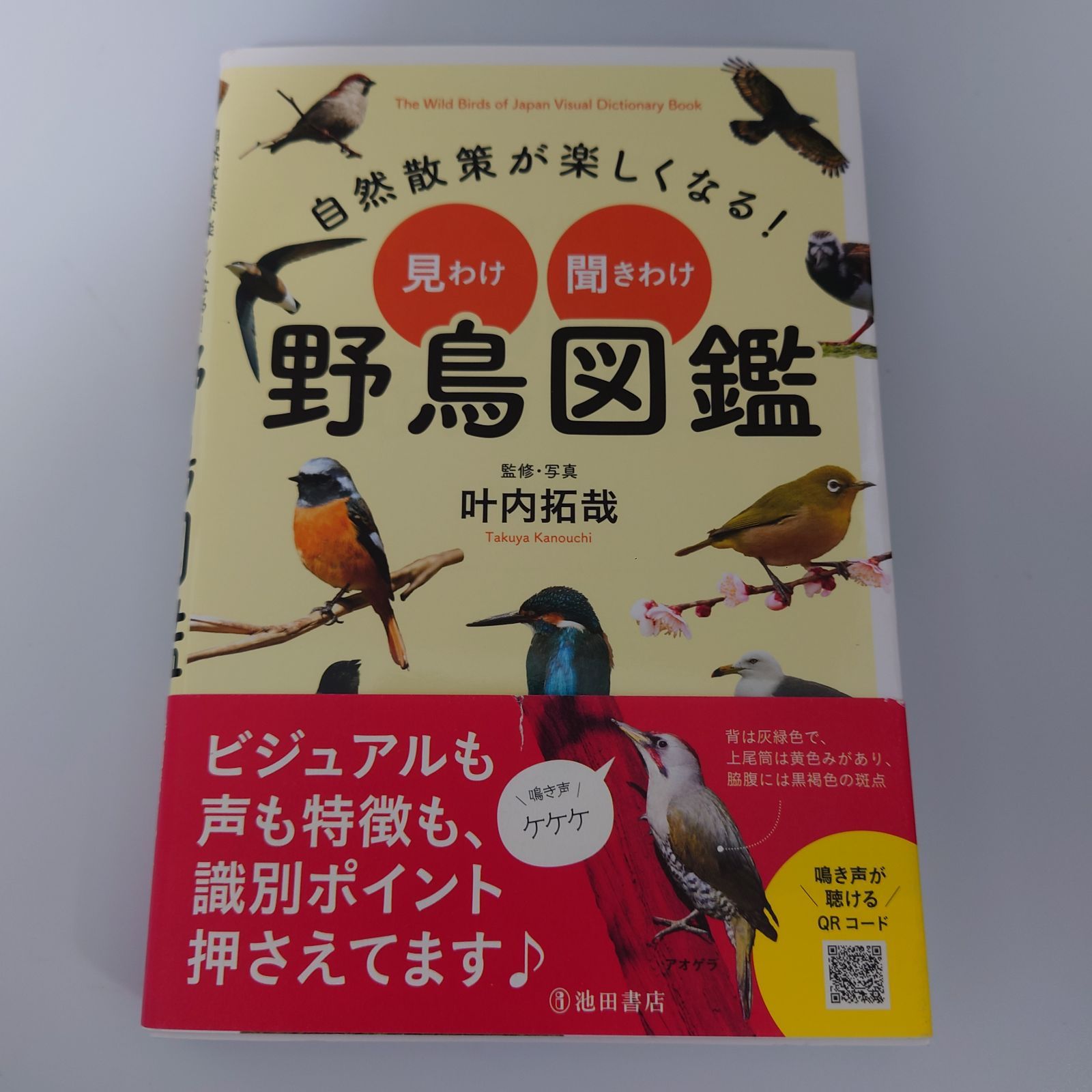 自然散策が楽しくなる！ 見わけ・聞きわけ 野鳥図鑑 叶内 拓哉 (監修) - メルカリ