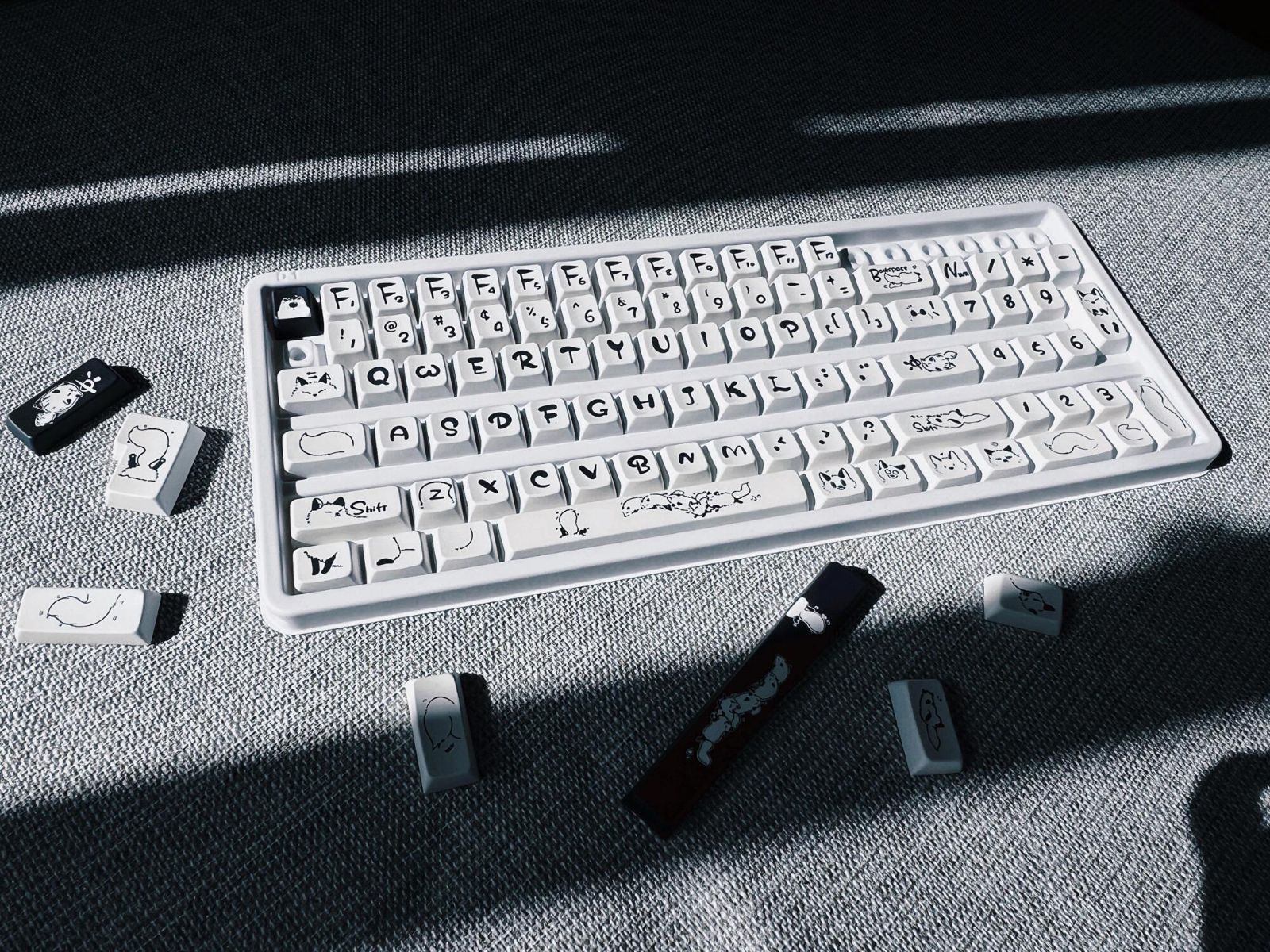 PBT