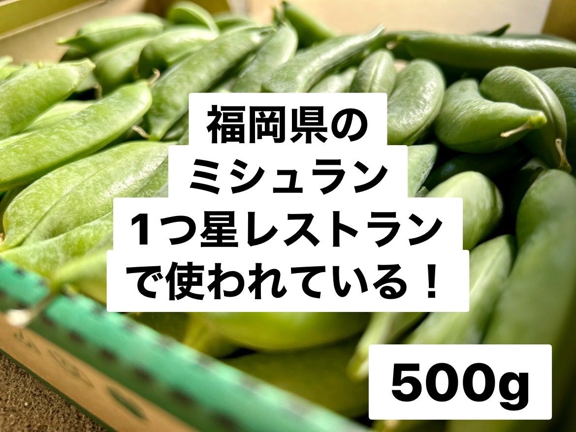 甘さ◎鹿児島産 スナップえんどう 500g 美味しい スナップエンドウ401