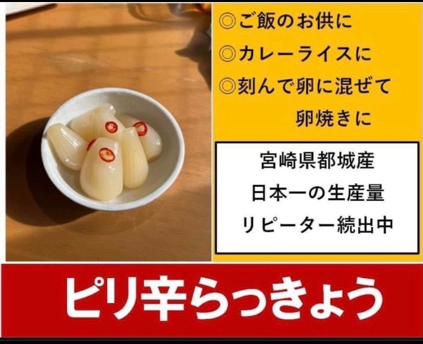 【宮崎のお漬物】ピリ辛らっきょう150ｇ　2袋セット　甘酢が美味しいピリ辛-1