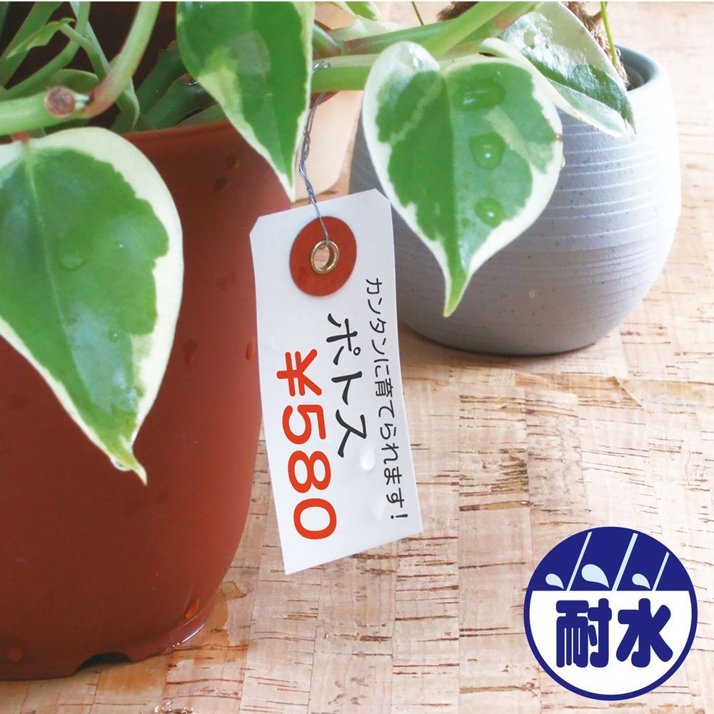 1点