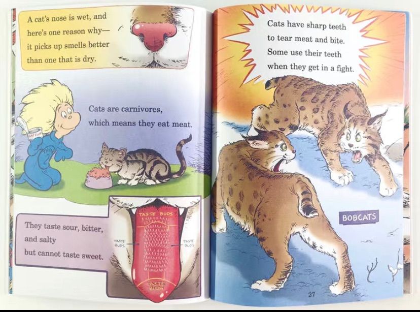 Dr.Seuss 人気英語絵本 33冊 全冊音源付 マイヤペン対応 - メルカリ