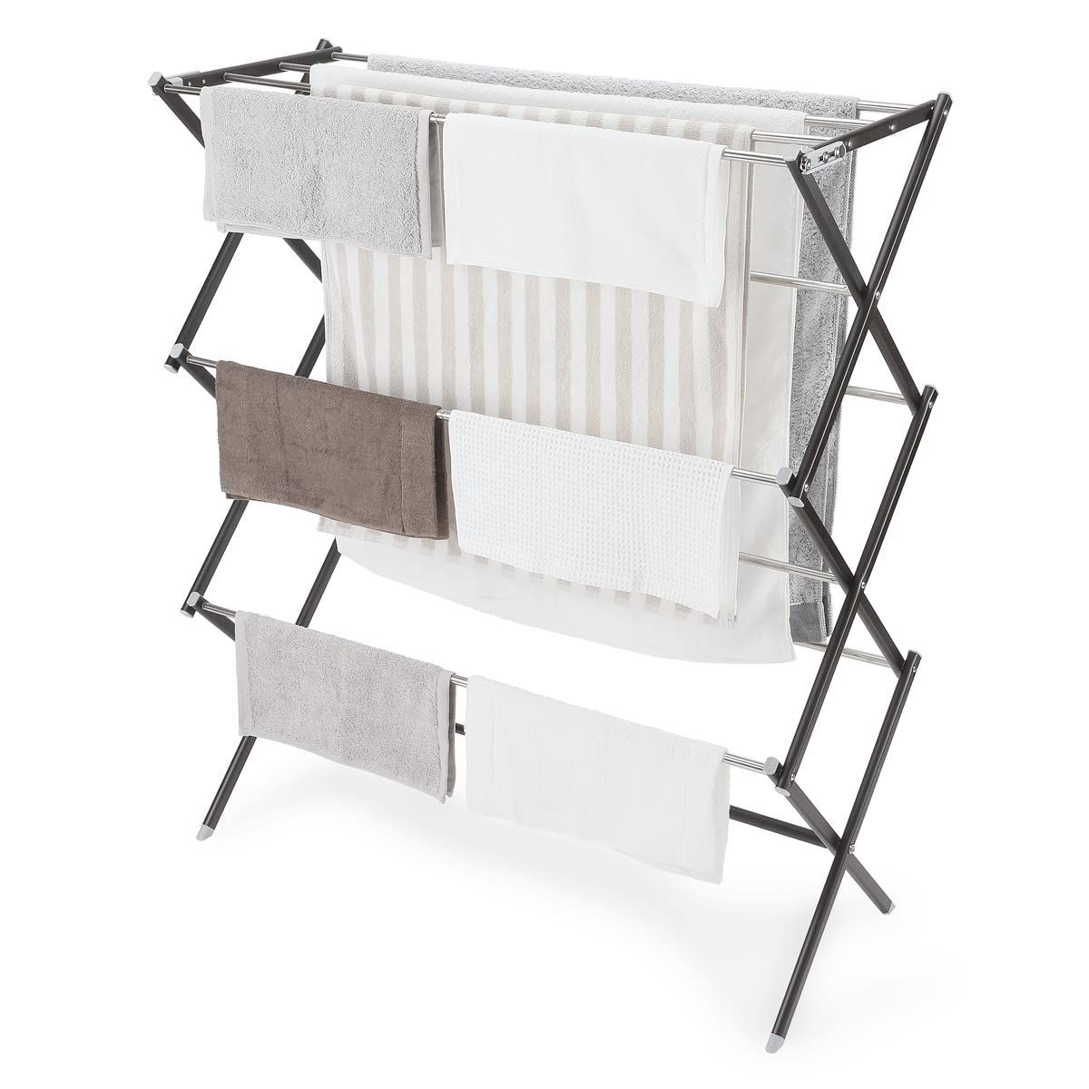 DVD Anatomy Trains アナトミートレイン 4本セット 日本語 学習