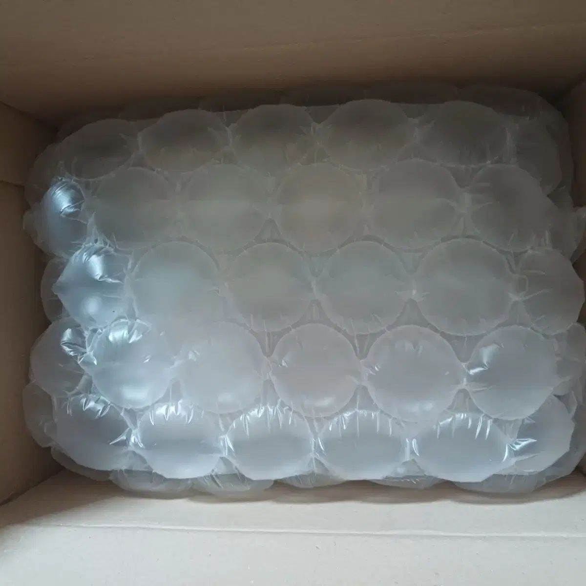 特典o初音 ミク 20周年 100番目 ジョジョの奇妙な冒険 ねんどろいど アドベンチャー フィギュア