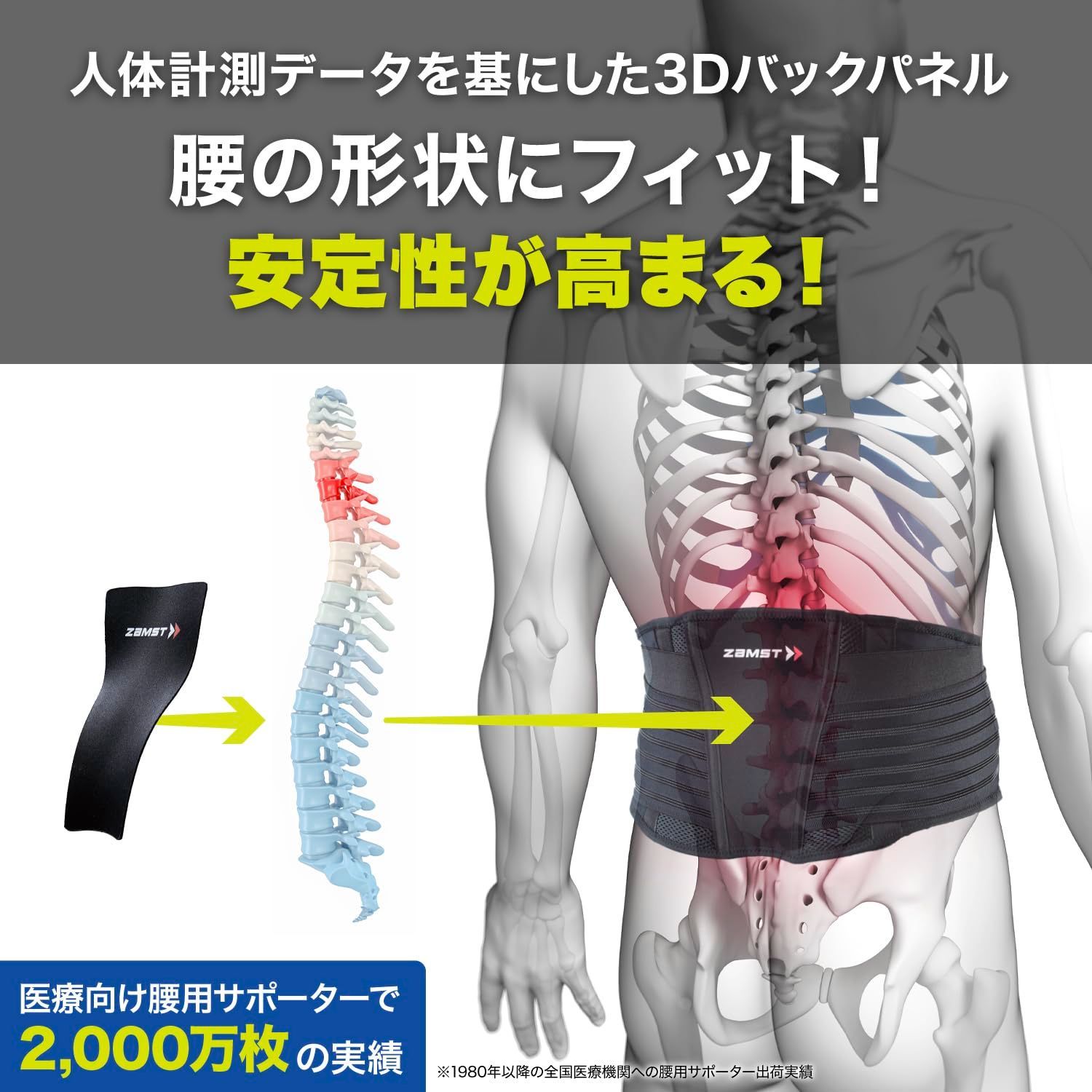 ZWシリーズ 骨盤