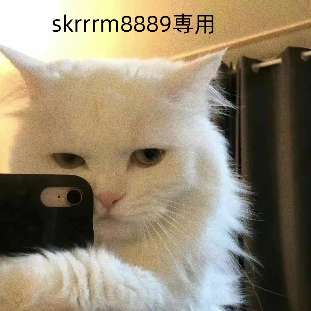 skrrrm8889専用