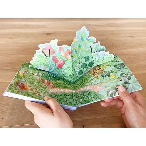 まとめ コクヨ 絵本 WORK×CREATEシリーズ いろんなおやさいどこになる KEWC 59 ×