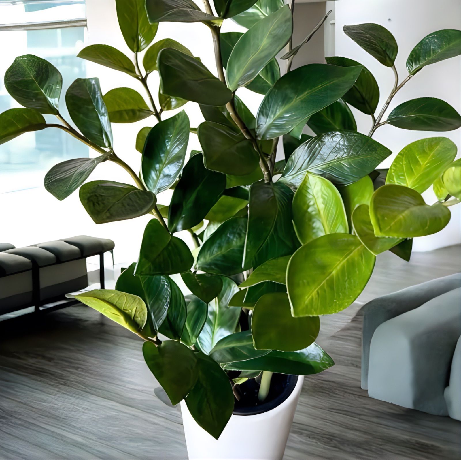 光触媒 人工観葉植物 ウォールグリーン フェイクグリーン ザミフォリア