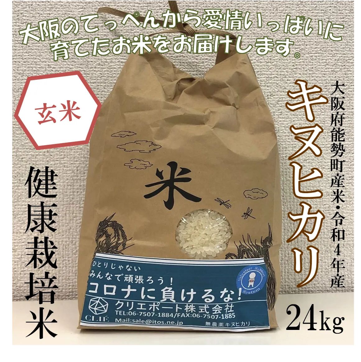 【令和4年産/健康栽培米】大阪のてっぺんキヌヒカリ玄米24kg大阪府能勢産