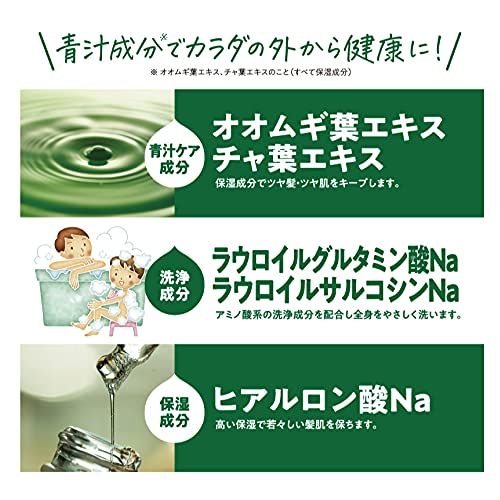 ケース販売】HIRO ヒロ 3in1 青汁全身シャンプーI 1L IT-2108-01