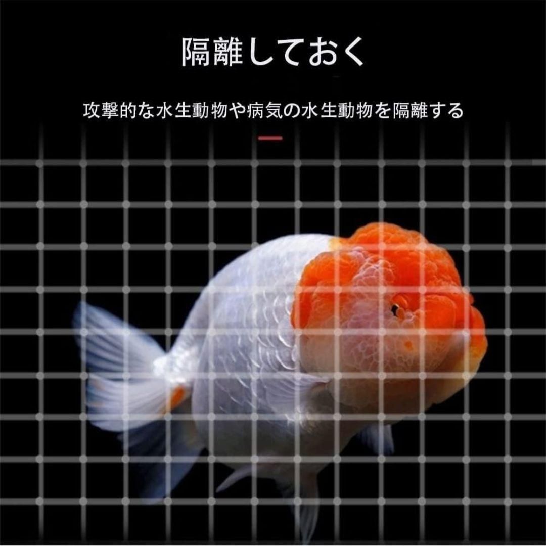 SSZYMAOYI 仕切り 水槽 仕切り魚の混合養殖用 30×15cm ゴム吸盤付き ブラック 3枚セット