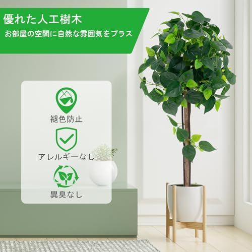 空気清浄 害虫駆除不要