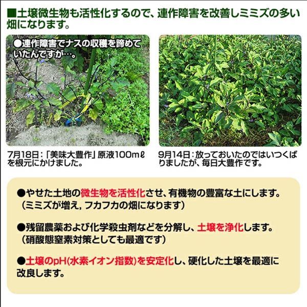 美味大豊作 植物活力液 活性剤 5リットル 天然成分 100% GT-S