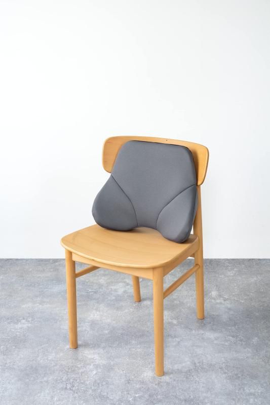 エクスジェル (EXGEL) ザ・アウルバッククッションスタンダード