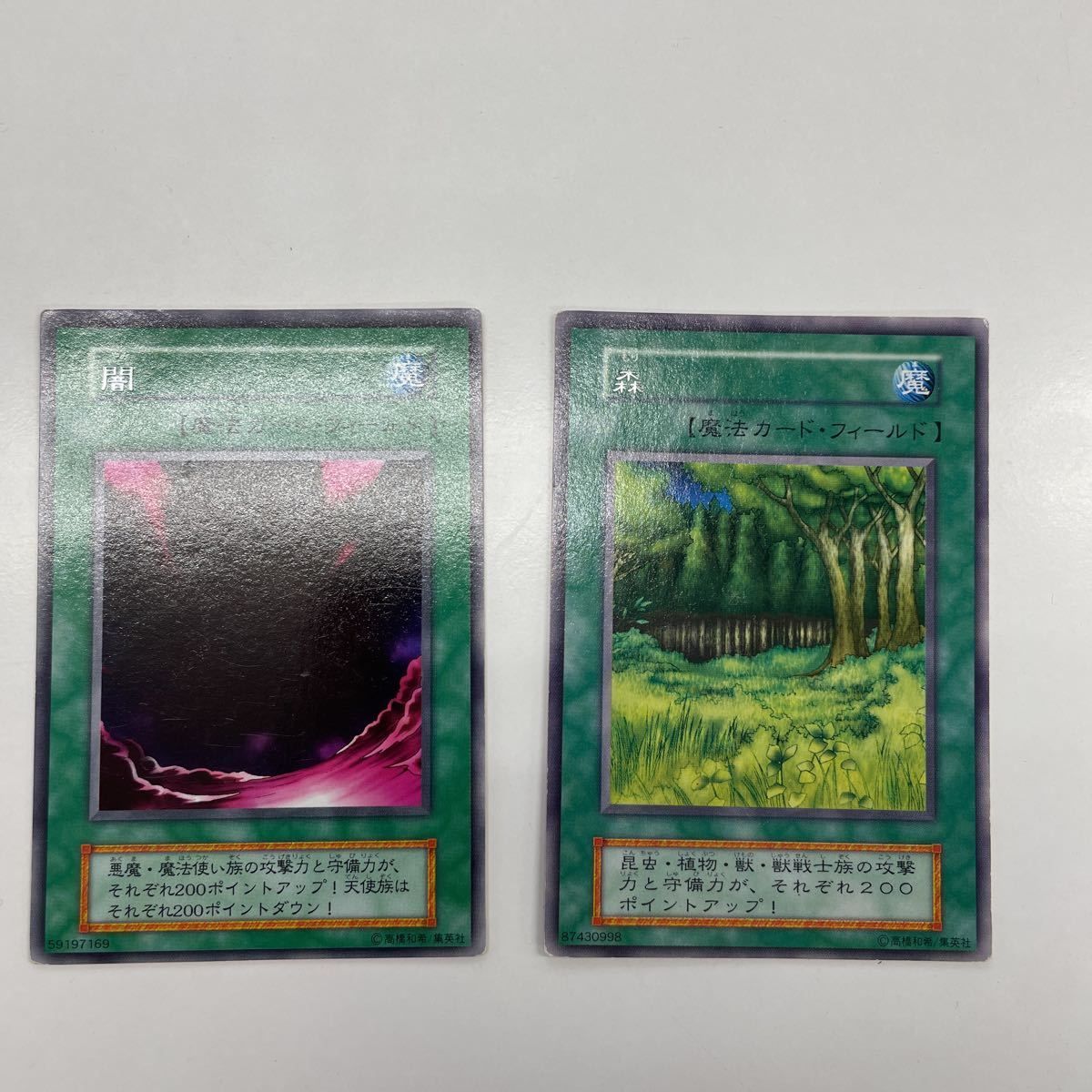 遊戯王 初期 山 海 荒野 草原 森 闇 フィールドカード 初期】遊戯王「 山 荒野 森 海 闇 草原 」フィールドカード