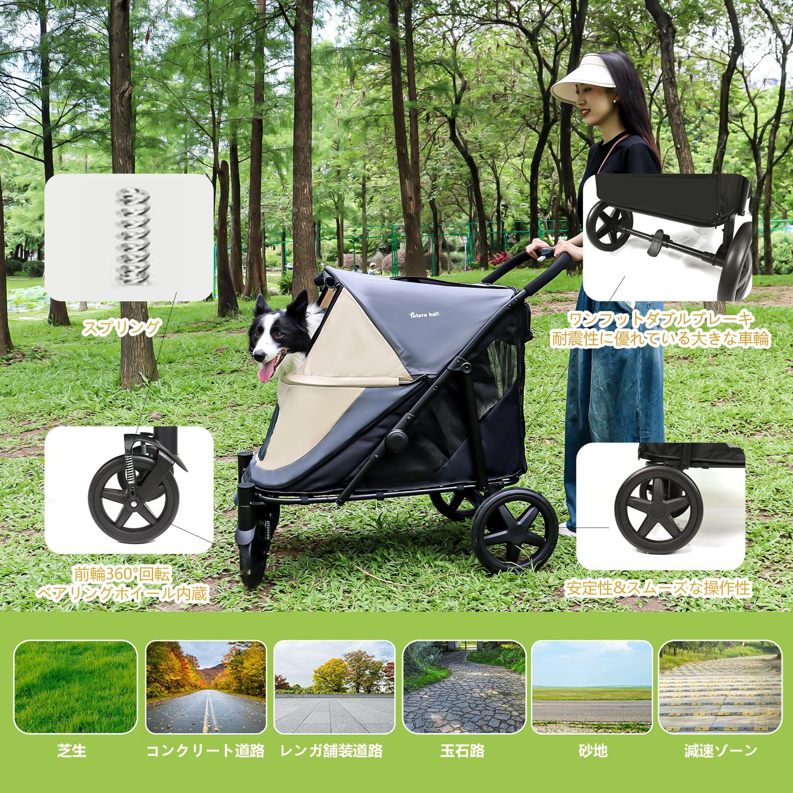 中型 多匹飼い向け