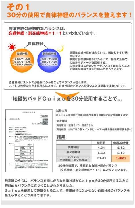 地磁気パット