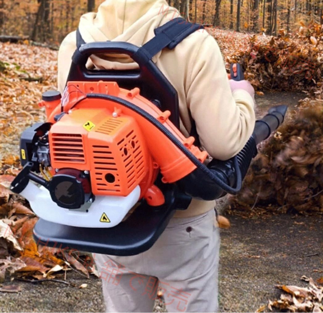 落ち葉バキューム