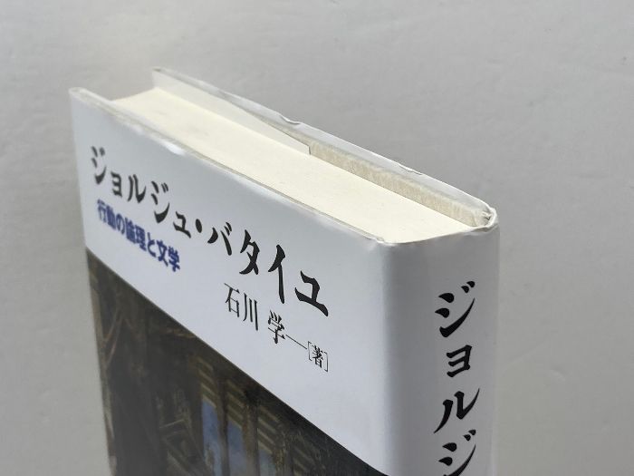 ジョルジュ・バタイユ著作集 11冊セット ジョルジュバタイユの本