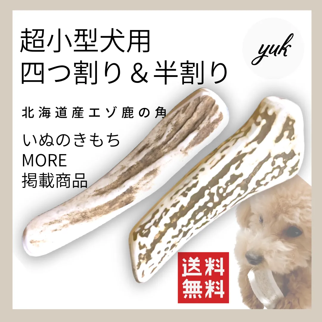 2025年最新】エゾシカ 毛皮の人気アイテム - メルカリ