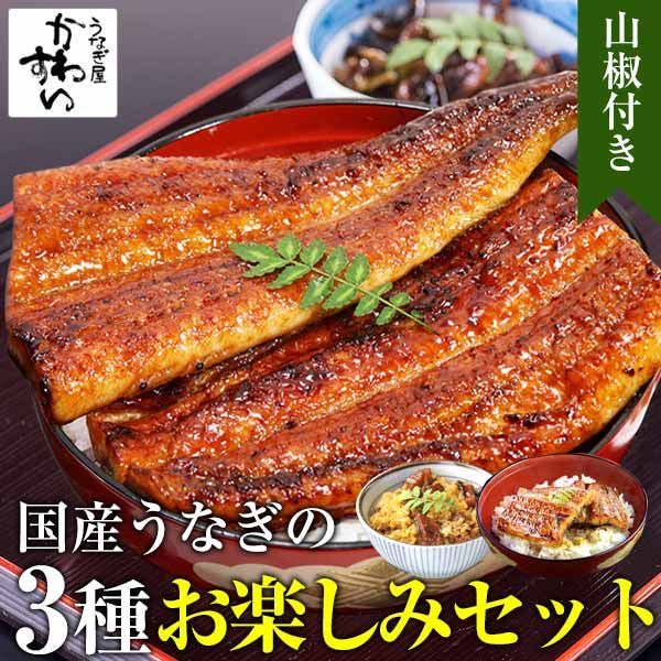 人気No.1 うなぎ 国産うなぎ 蒲焼き うなぎ屋かわすい 3種お楽しみセット グルメ うなぎ屋かわすい ウナギ 鰻 蒲焼き 内祝い ギフト 誕生日プレゼント 土用丑 きざみうなぎ カット蒲焼き 山椒付き