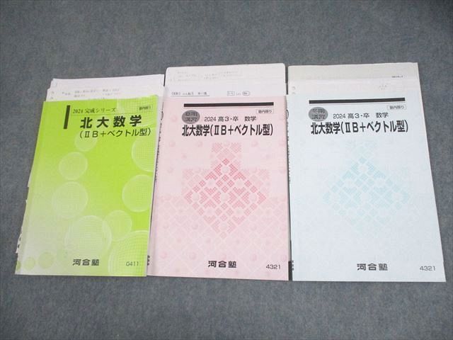 河合塾 北海道大学 北大数学(IIB＋ベクトル型) テキスト/テスト4回分付2024 完成シリーズ/夏期/冬期3冊 福井敏英 016S0D 河合塾 北海道大学 北大数学(IIB＋ベクトル型) テキスト/テスト4