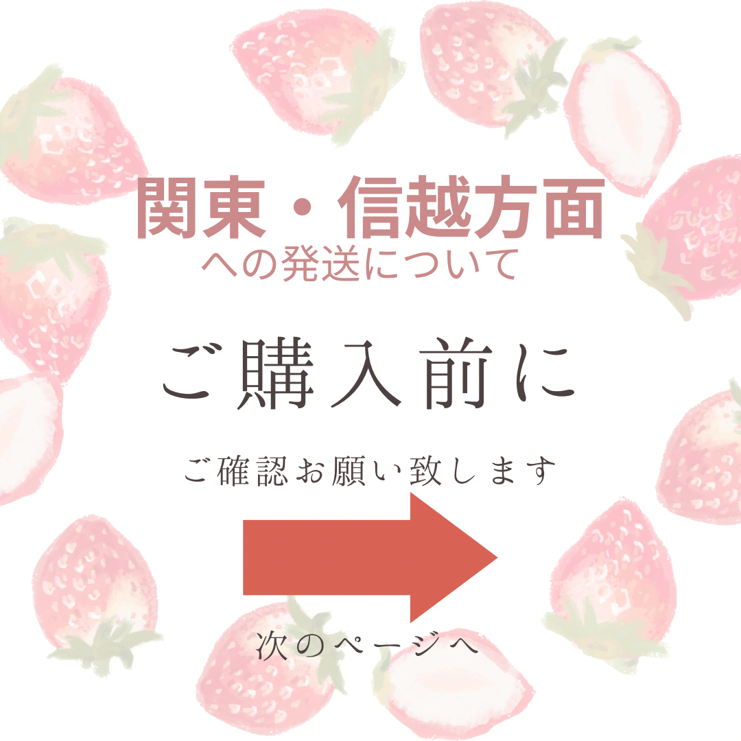 【ゆめのか】大粒！新鮮朝採りいちご