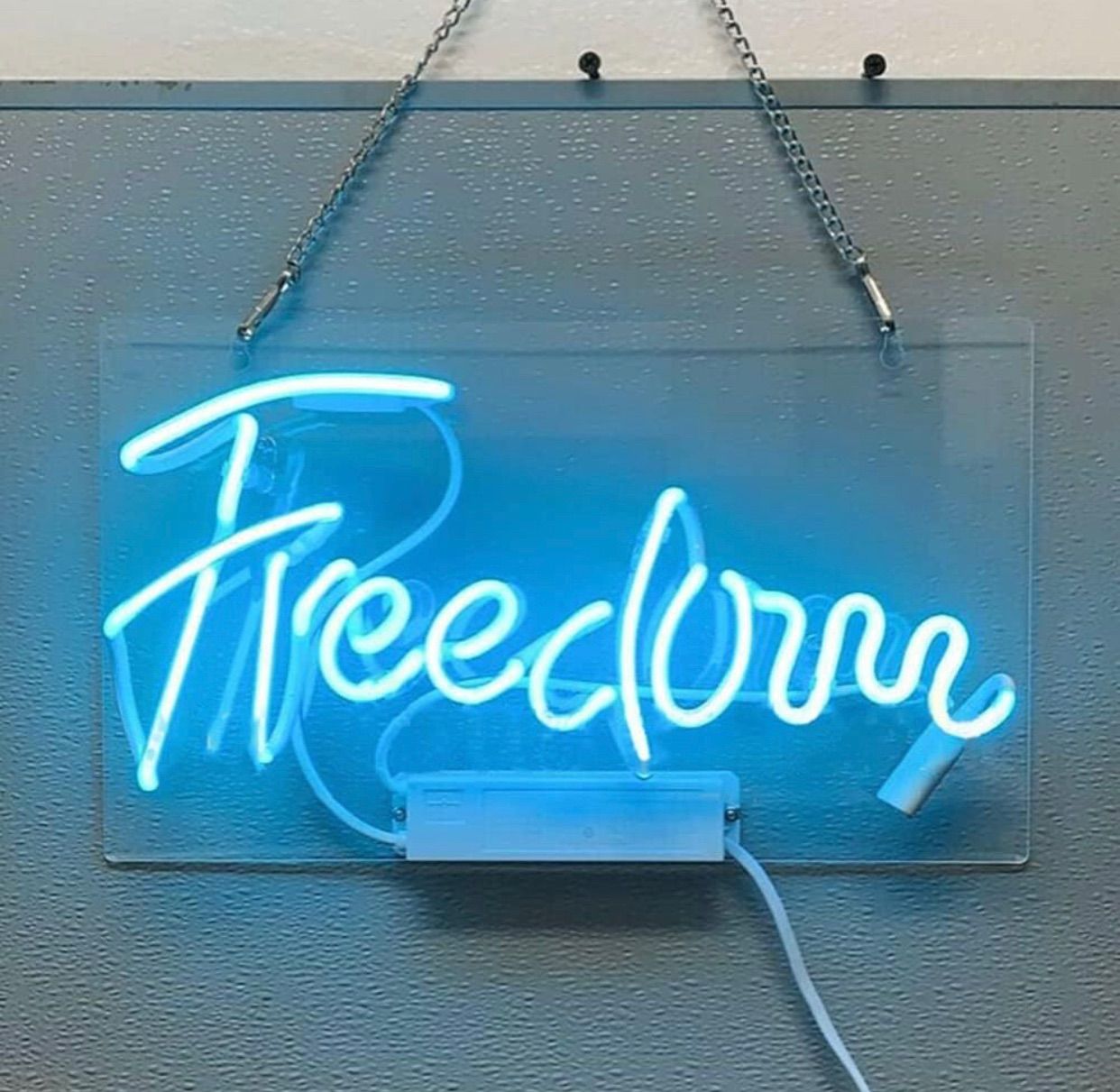 オリジナル 青色 ネオン管 Freedom LED 壁掛け インテリア オーダー 