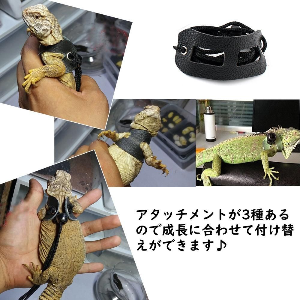 爬虫類 お散歩リードハーネス ドラゴン トカゲ ヤモリ カメレオン ペット 徘徊 - メルカリ