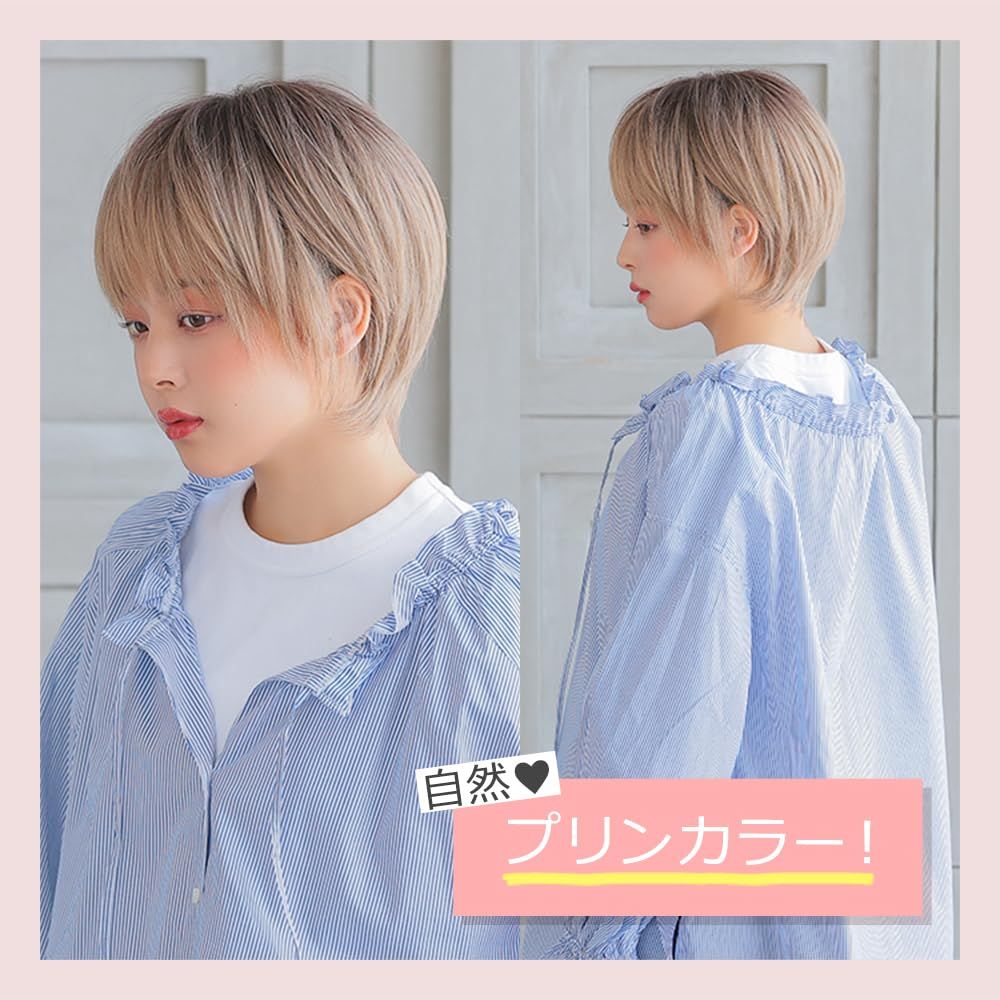 アクアドールフルウィッグ AQUADOLL アクアドール ポイントメッシュエクステ2type [wgt812