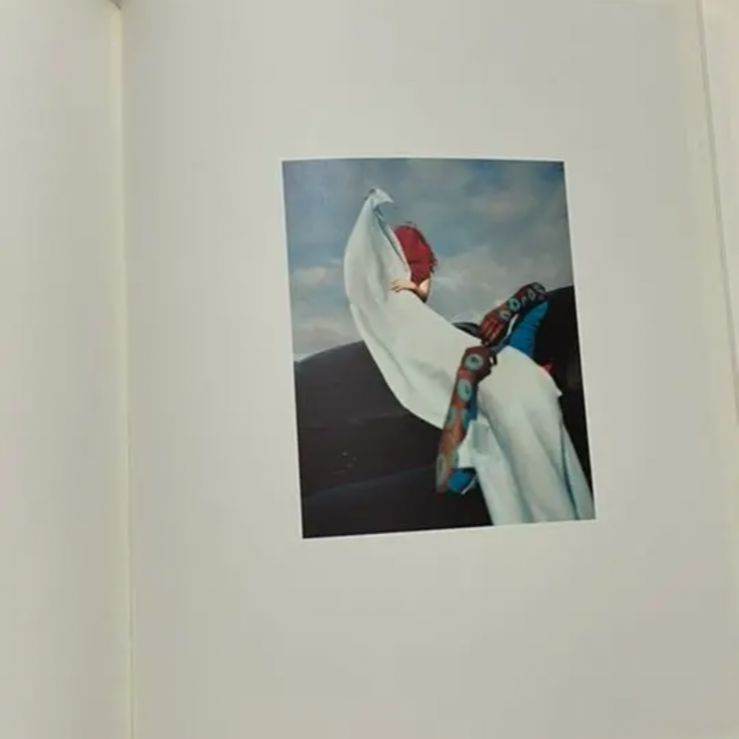 写真集 Harley Weir Paintings - メルカリ