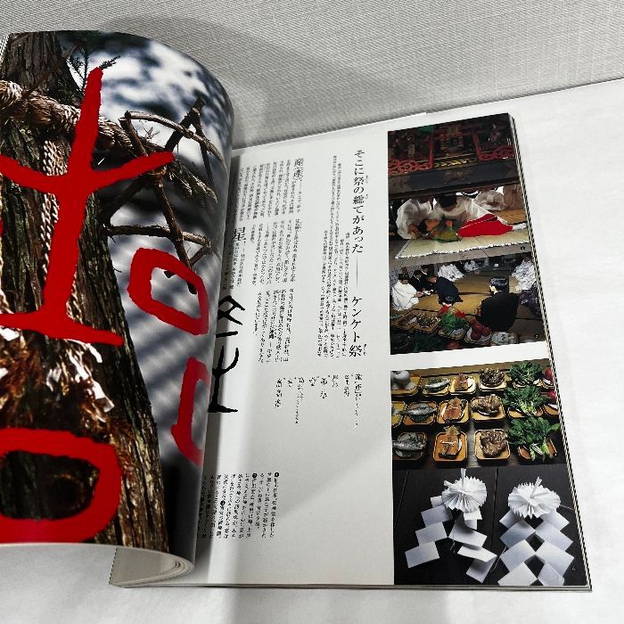 別冊太陽 白川静の世界 平凡社 - メルカリ