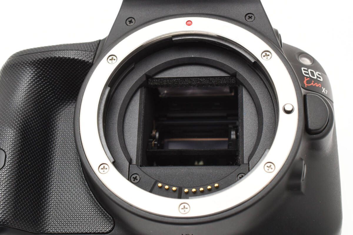 □新品級□ キャノン Canon 5D Mark III ≪S数約26000回