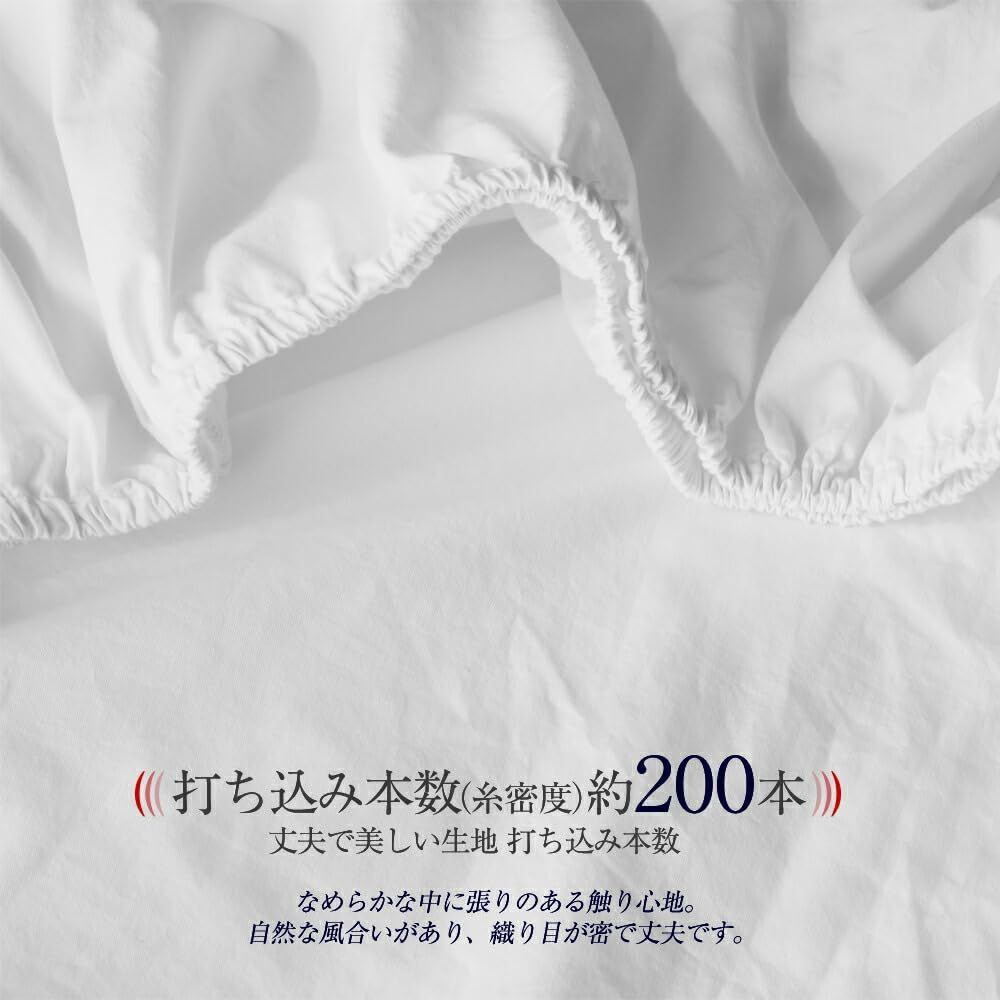 厚型タイプ 2台用サイズ