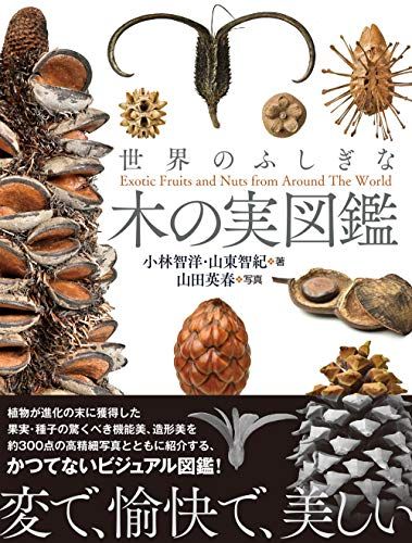ポラック博士「第4の水の相」講演会 DVD