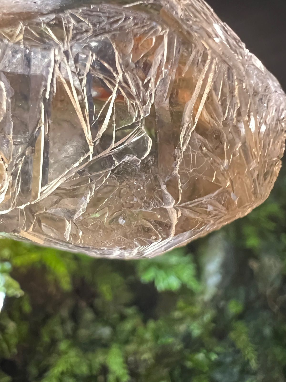 龍脈の精髄 ― 宮崎産黒水晶 「闇を封じる最強の護り」【保護猫