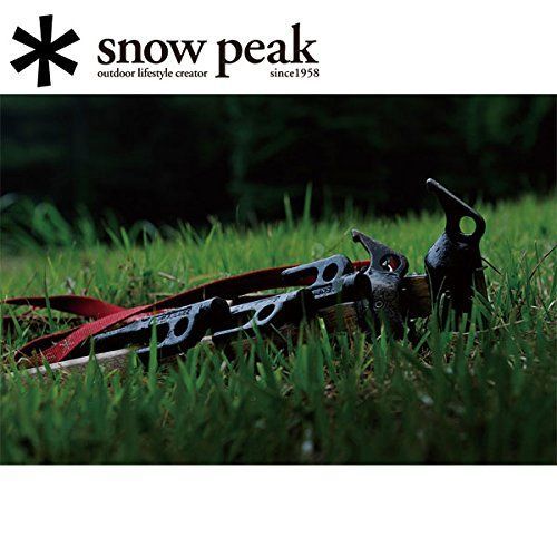 スノーピーク)snowpeak 10本セット スノーピーク snowpeak ペグ テント