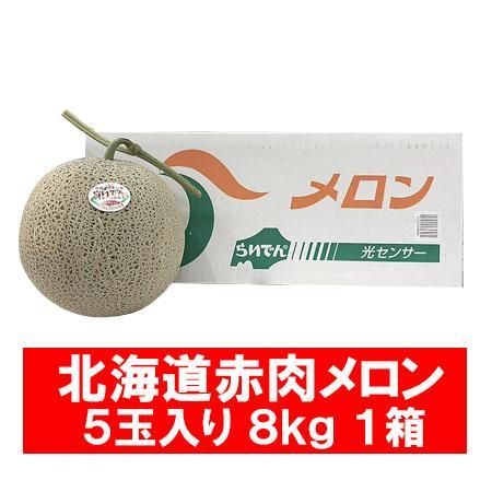 らいでんメロン 赤肉メロン らいでん メロン 8kg 5玉入 1箱 1ケース 共撰 メロン 秀品 フルーツ メロン 果物 くだもの JAきょうわ