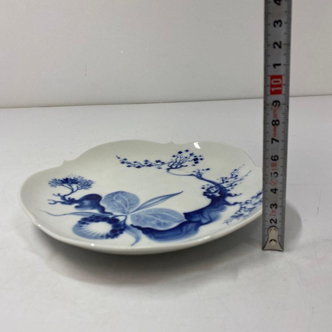 ブルーオーキッド