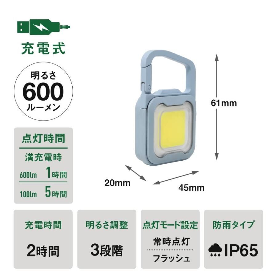 ムサシ(MUSASHI) 充電式 ぴかり MINI LIGHT ダスティブルー 防犯 防水仕様 強力ライト 明るさ3段階調整 フラッシュ点灯 カラビ